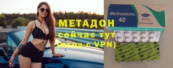 шишки Арсеньев