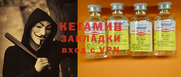 шишки Арсеньев