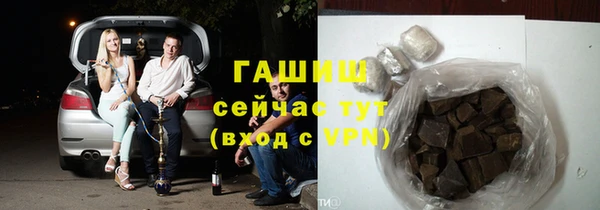 шишки Арсеньев
