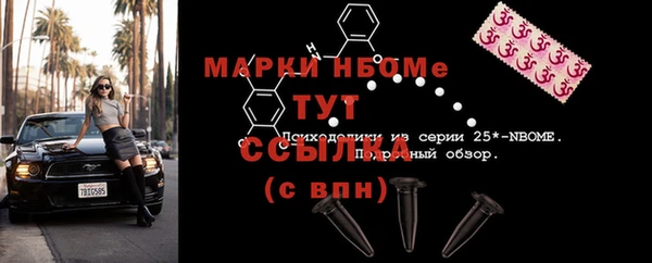 шишки Арсеньев