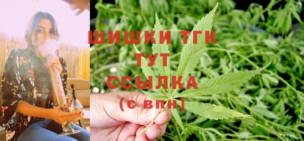 дурь Тавда