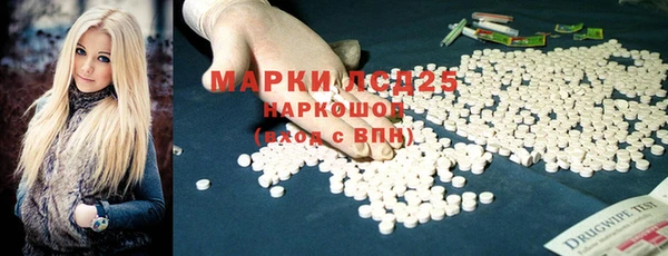 шишки Арсеньев
