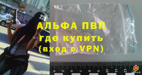 шишки Арсеньев