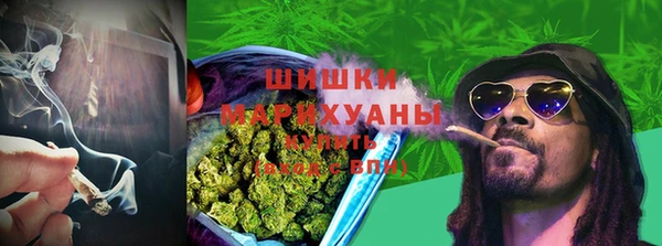 шишки Арсеньев