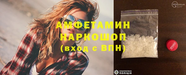 шишки Арсеньев