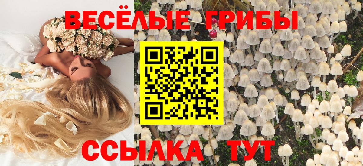где продают   Галлюциногенные грибы прущие грибы  Вход с VPN  Белово 