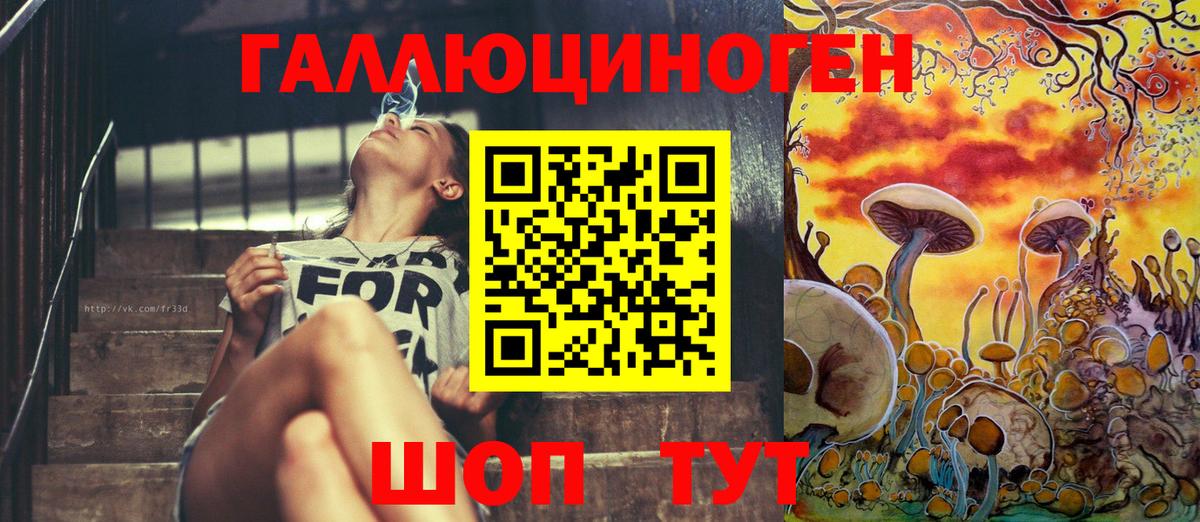 Псилоцибиновые грибы мицелий Белово